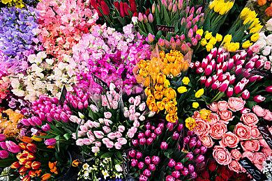 《无畏契约》第七幕第一章开幕 新模式新英雄上线